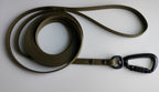 13mm Biothane®-talutushihna