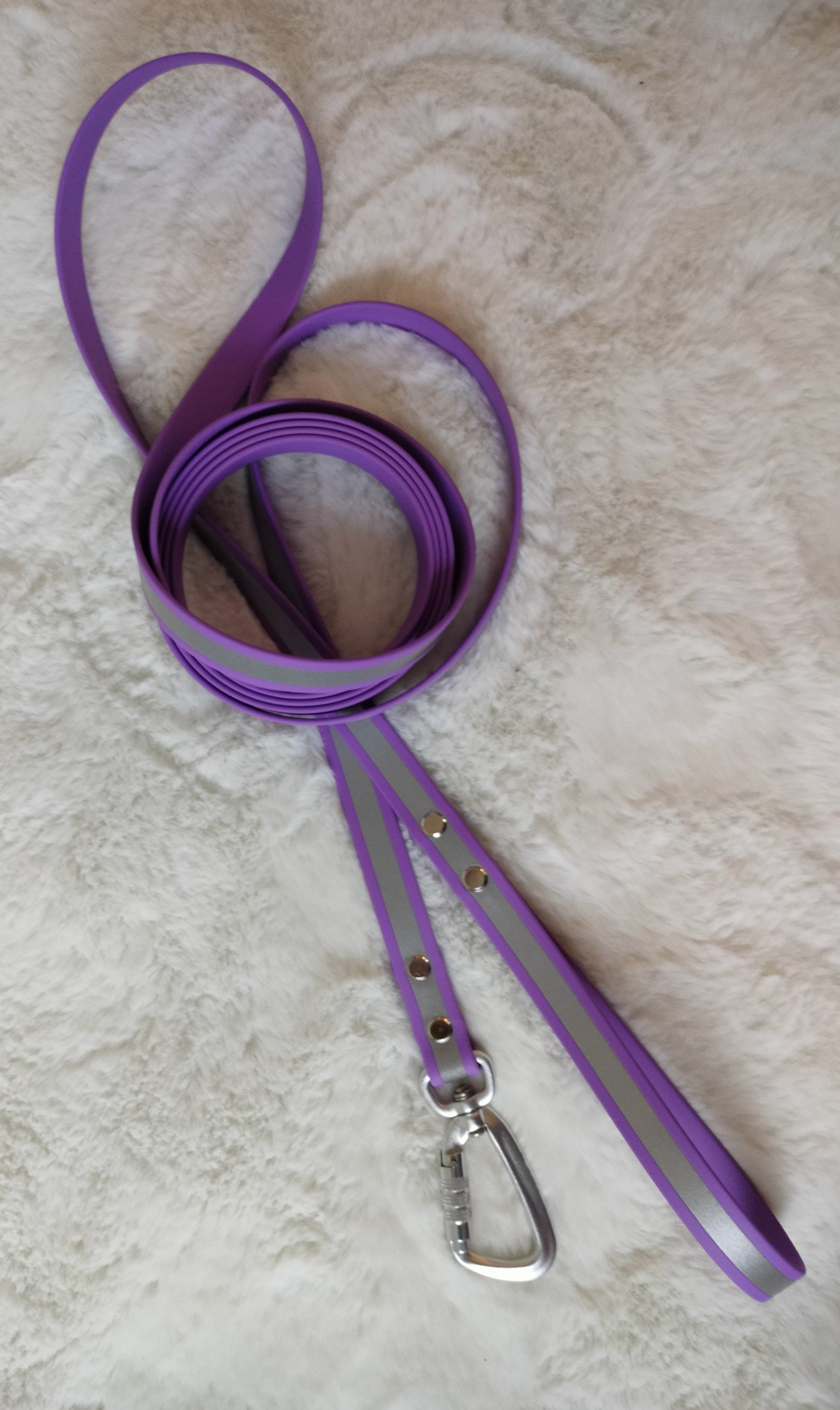 19mm Biothane®-heijastinhihna