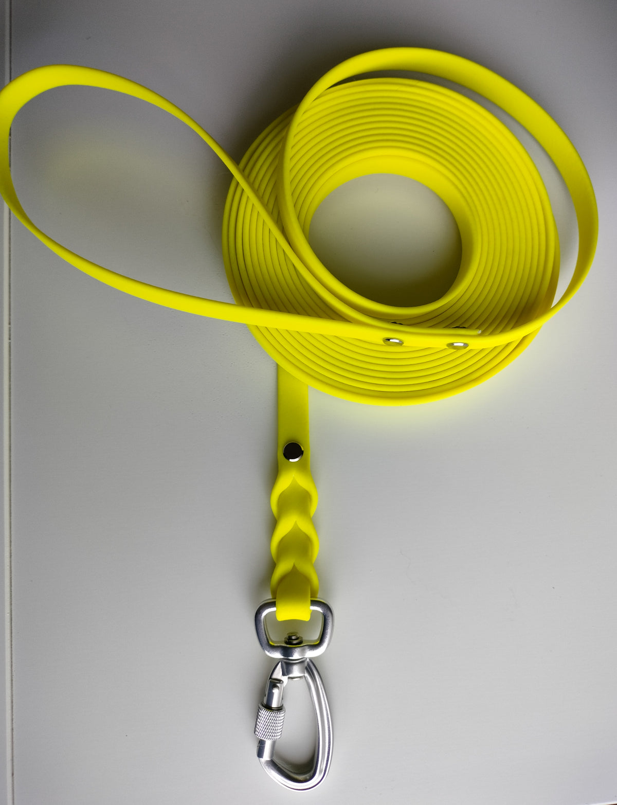 16mm Biothane®-talutushihna