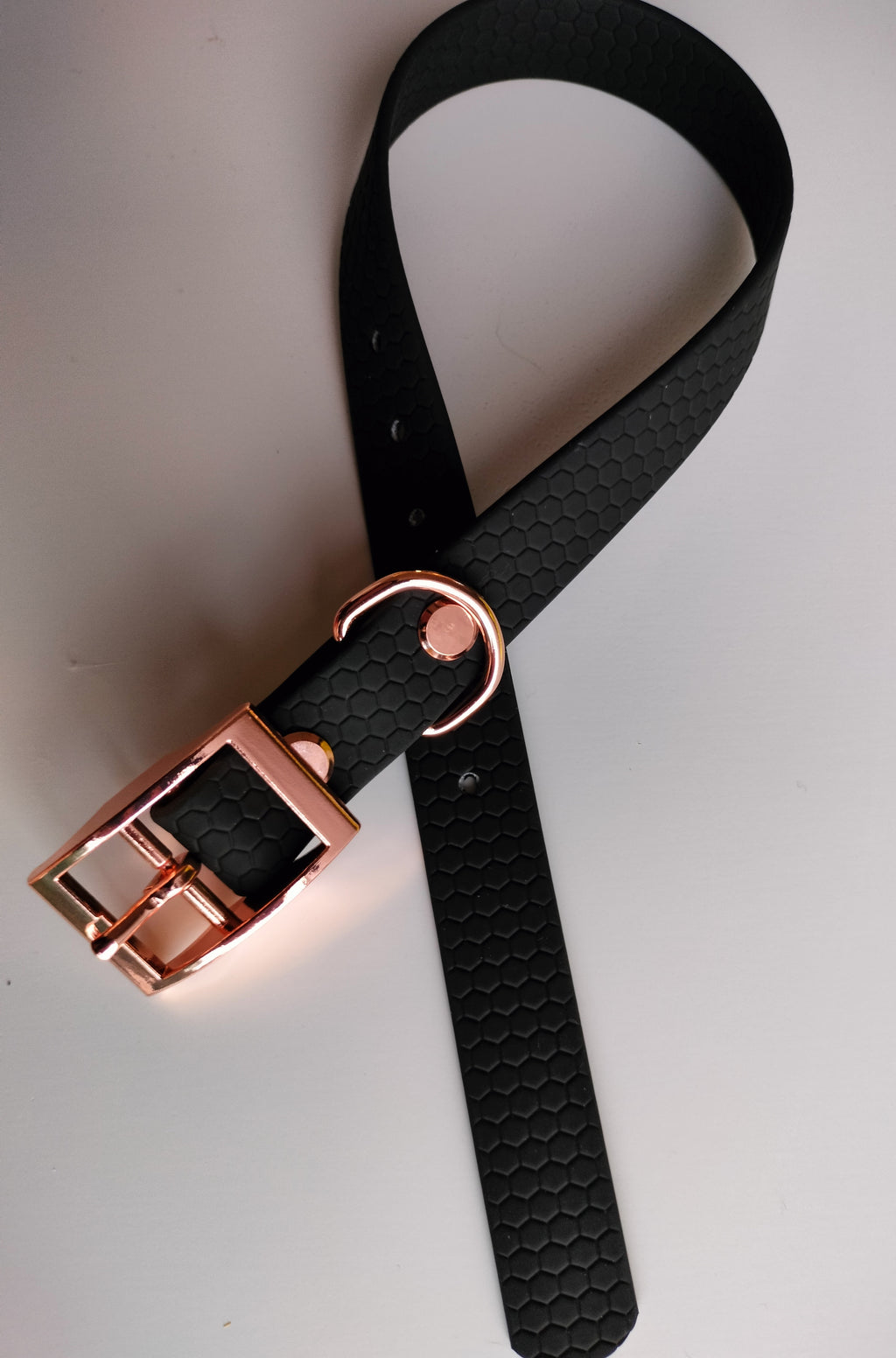 20mm Hexa-solkipanta