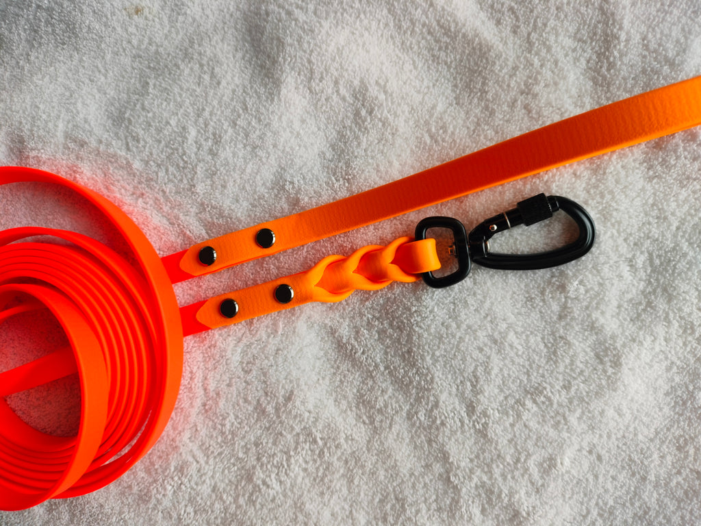 19mm Biothane® GRIPPY talutushihna väritehosteella