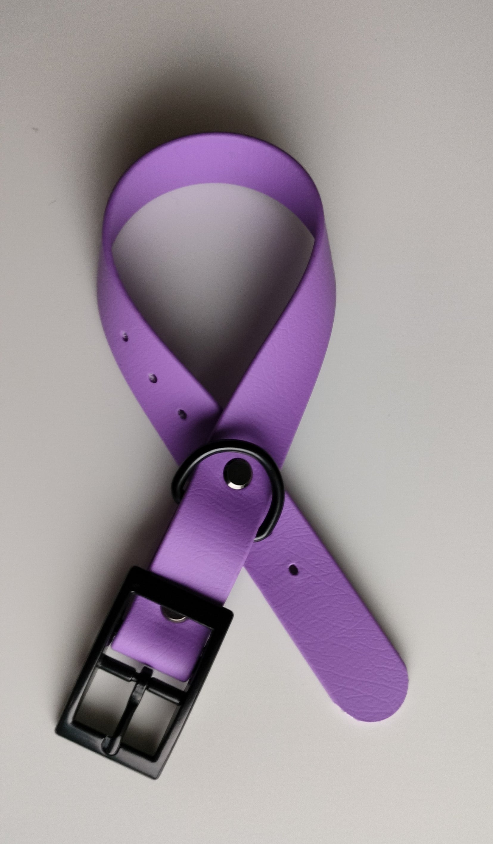 25mm Biothane®-solkipanta