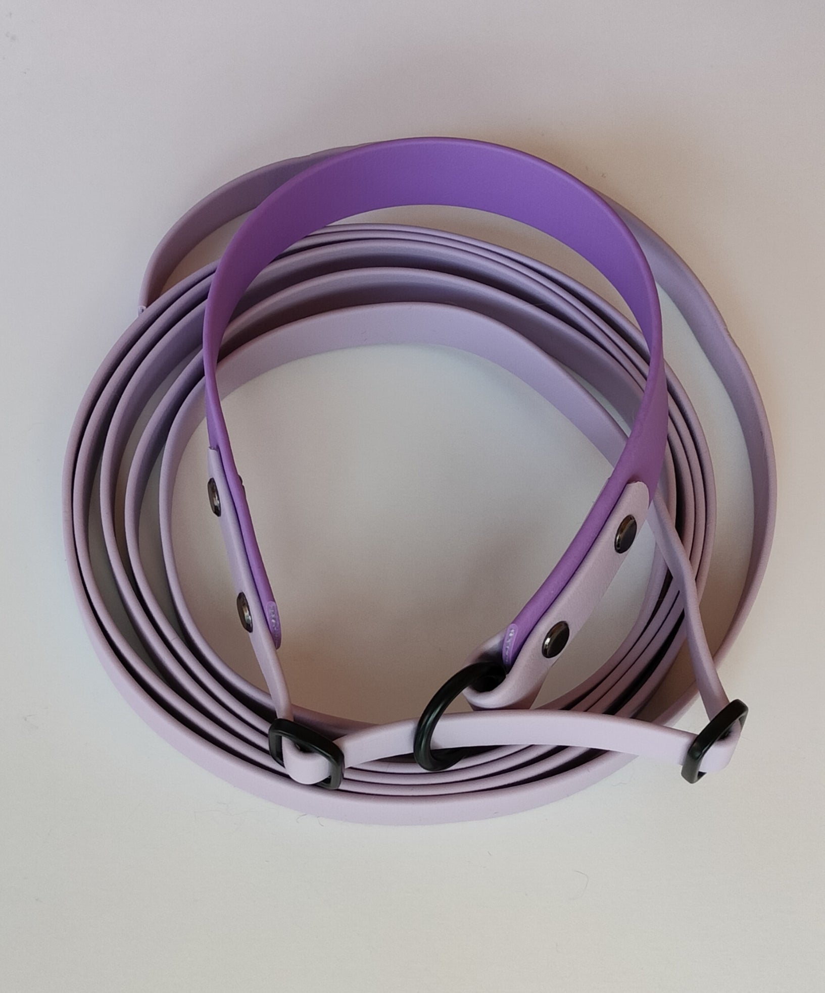 13mm Biothane®-noutajahihna 25mm pantaosalla