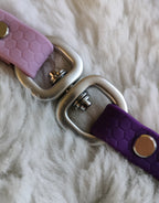 Hexa-lisäosa flexeille